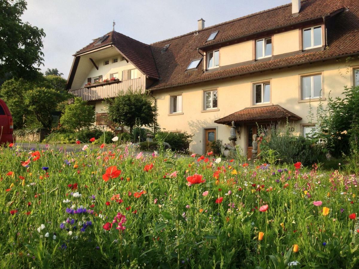 Paradies 2 Castellberg-Jakobsweg Döttingen Esterno foto