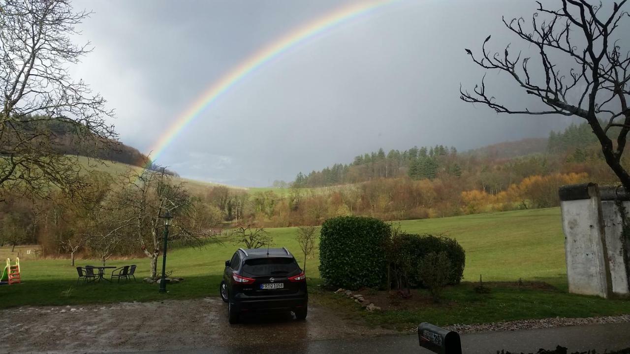 Paradies 2 Castellberg-Jakobsweg Döttingen Esterno foto